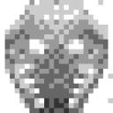 animation.gif