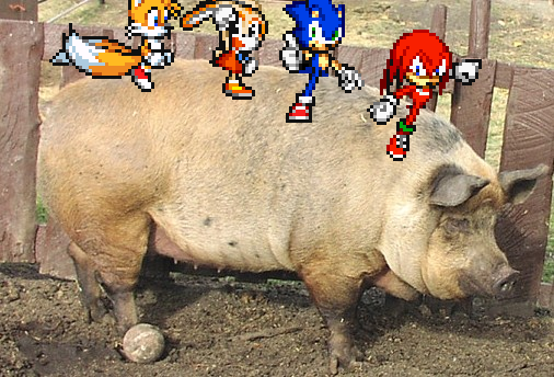 pigsonic.png