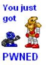 pwnt.png