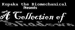 banner-1.png