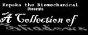 banner-1.png