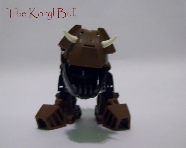 koryl2.jpg