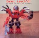 dume1.png
