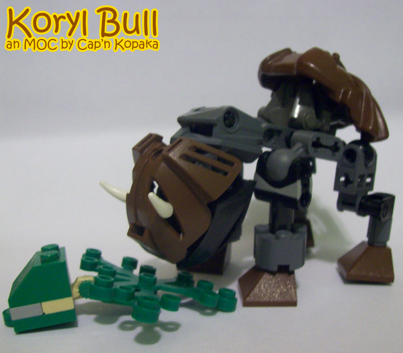 koryl.jpg