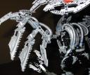 nidactyl-wing.jpg