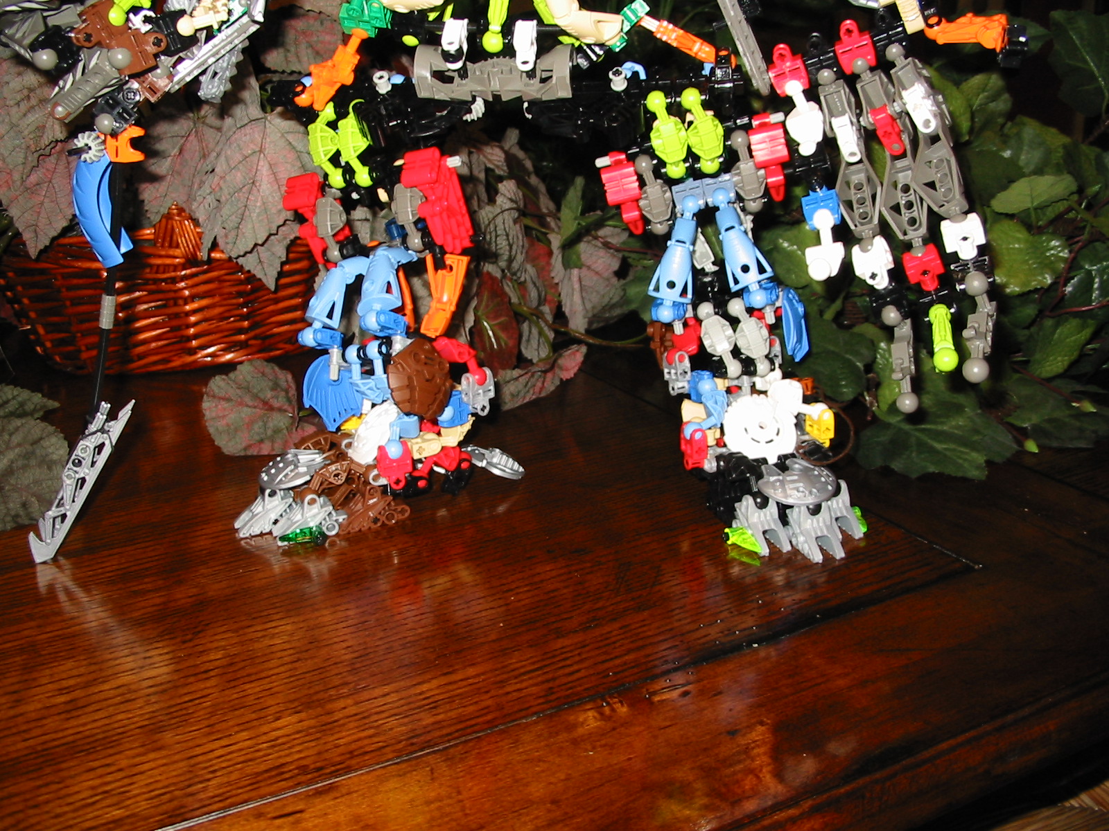 front-of-legs.jpg