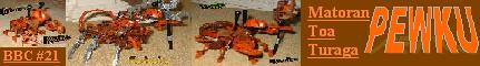 matoran-toa-turaga-pewku-banner.jpg