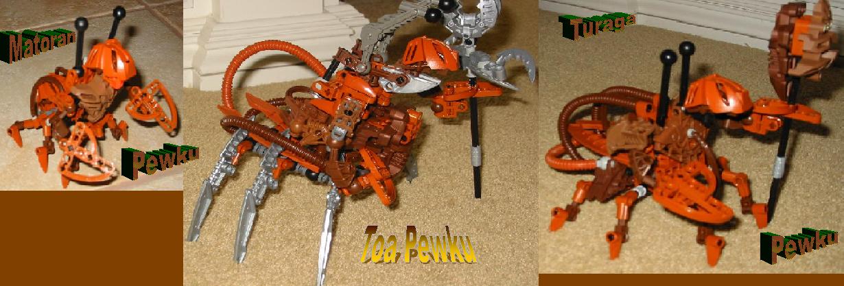 matoran-toa-turaga-pewku.jpg
