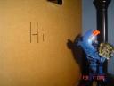 2-4-08_036.jpg