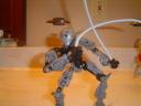 2-7-08_008.jpg