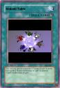 gbl-039.jpg