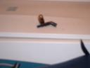 dscf0018.jpg
