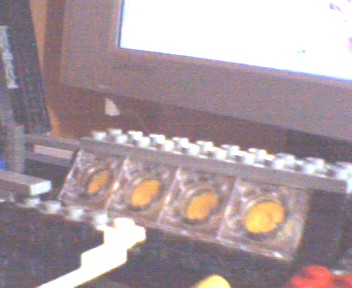 rally_truck20.jpg