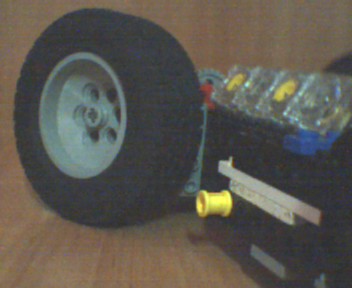 lotus1.jpg