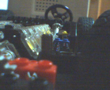 lotus3.jpg
