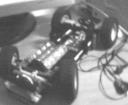 lotus16.jpg