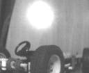 lotus17.jpg