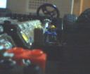 lotus3.jpg