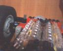 lotus9.jpg