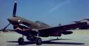 realwarhawk1.gif