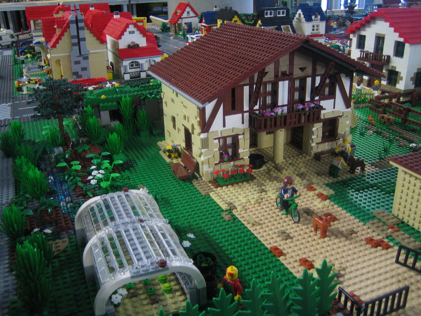 img_3353_7_1.jpg