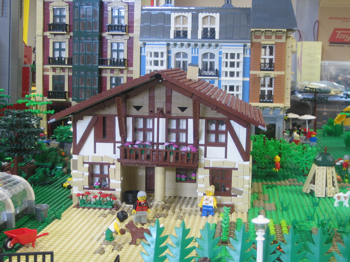 img_3369_4_1.jpg