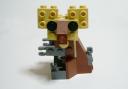 koala5.jpg