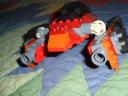 red_beetle_005.jpg