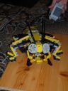 Insect