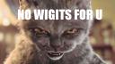no_wigits.png