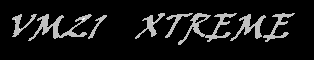 vm21sig.bmp