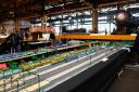 dsc06106.jpg