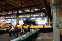 dsc06184.jpg