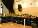 dsc04482.jpg
