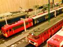 dsc04483.jpg