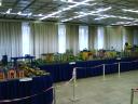 dsc04416.jpg