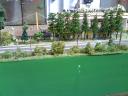 dsc04761.jpg