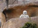 legoland114.jpg