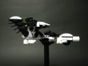 lhb008arrowhead20.jpg
