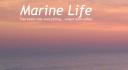 ml_logo.png