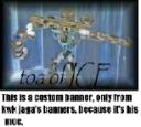 banner5.jpg