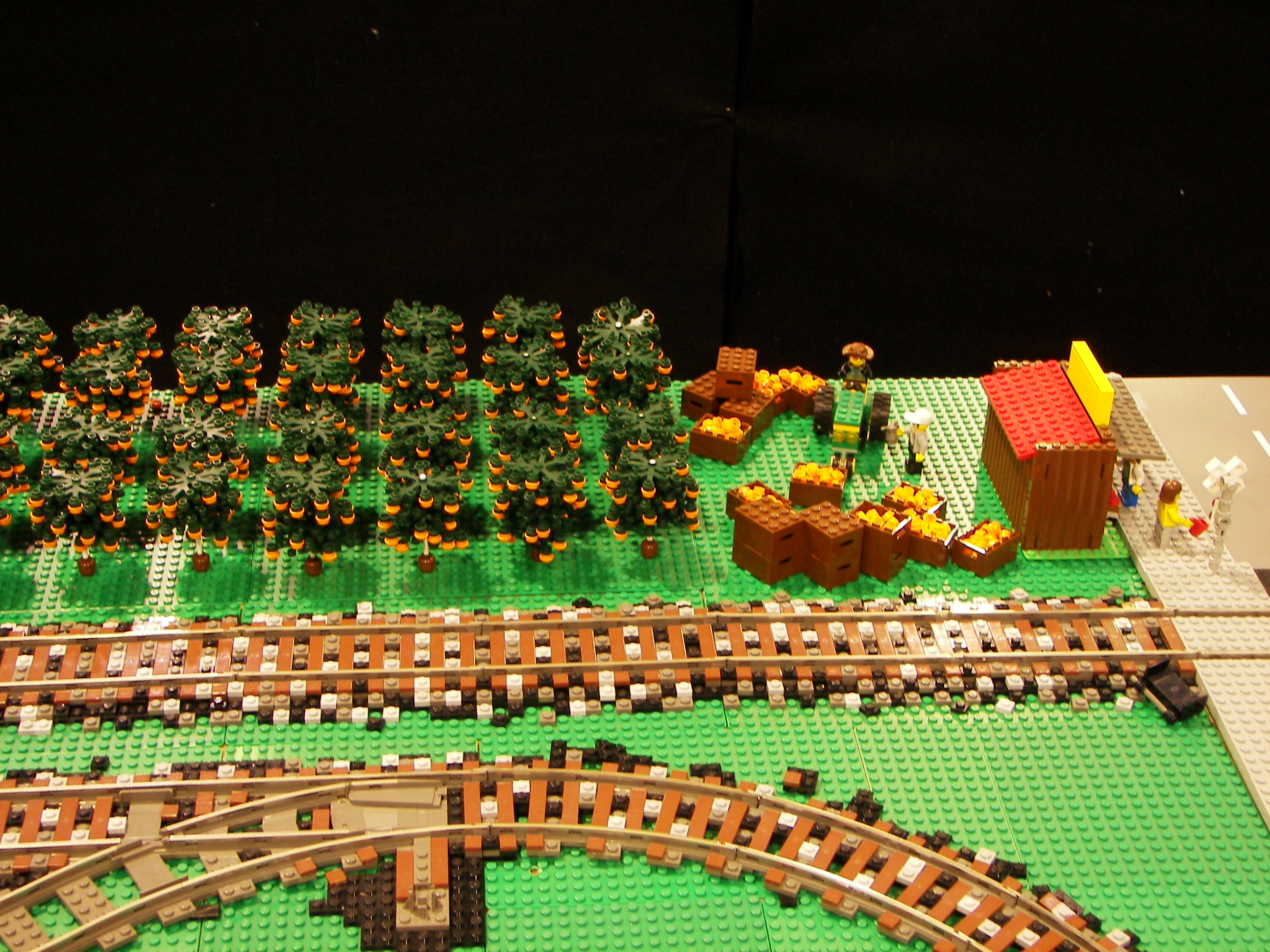 100_4439.jpg