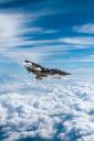 raven_in_flight.png