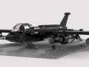 sparrowhawk_landed.png