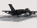 sparrowhawk_landed_2.png