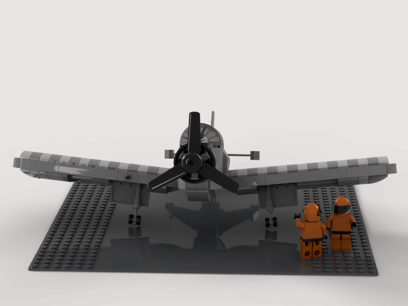 starling_training_flight.gif