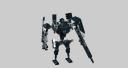 Knight
