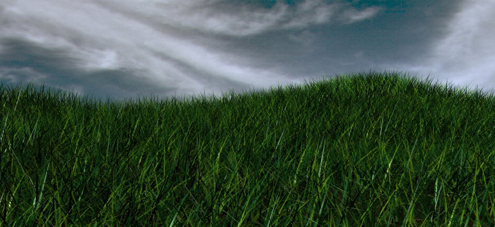 grass.jpg
