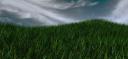 grass.jpg