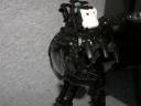 dscn0744.jpg